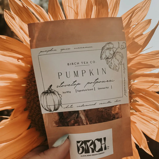Pumpkin Potpourri Simmer Pot Kit
