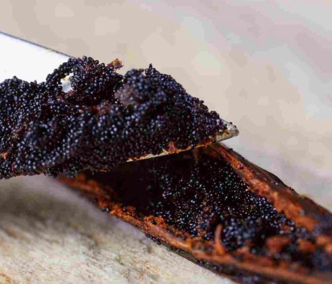 Pure Organic Bourbon Vanilla Extract 