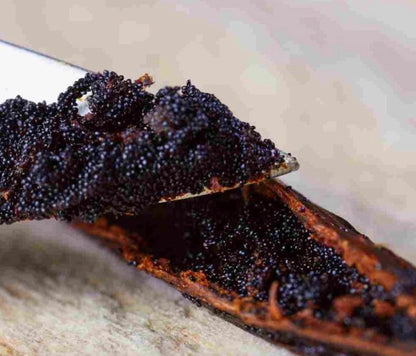 Pure Organic Bourbon Vanilla Extract 