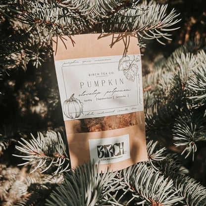 Pumpkin Potpourri Simmer Pot Kit