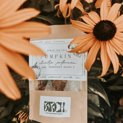 Pumpkin Potpourri Simmer Pot Kit