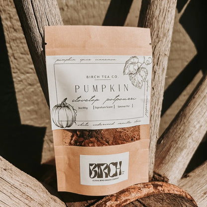 Pumpkin Potpourri Simmer Pot Kit