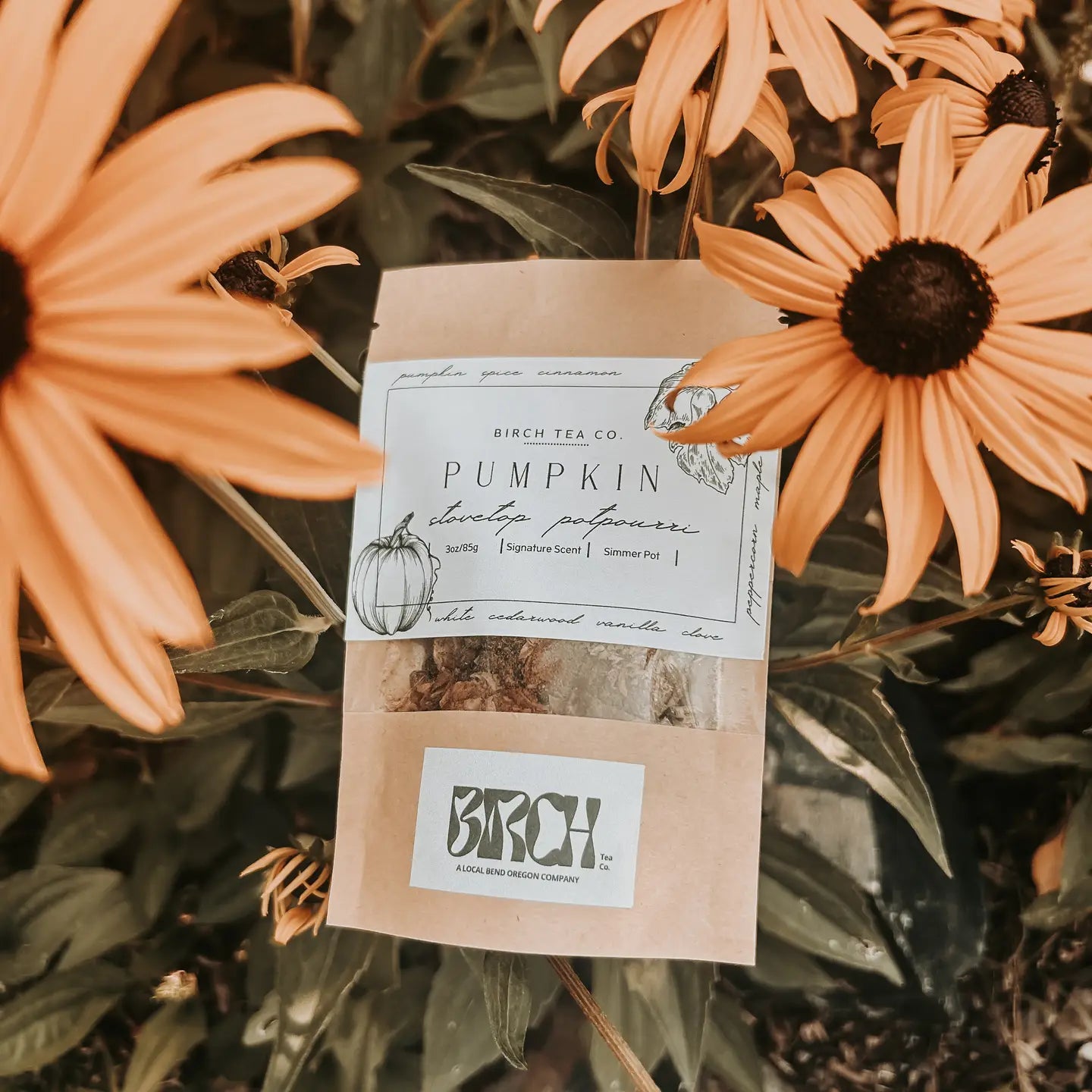 Pumpkin Potpourri Simmer Pot Kit